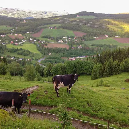 Gorgeous In With Wifi * Svingvoll